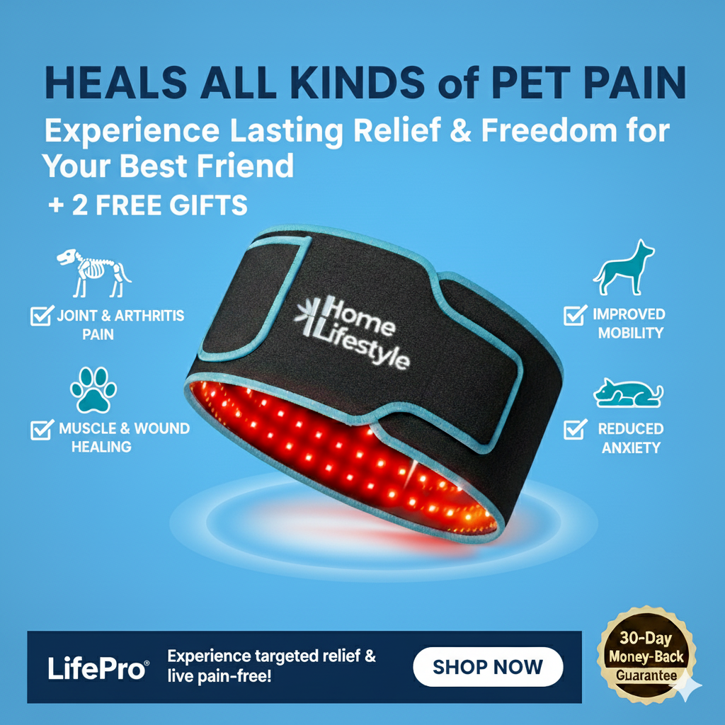 Red Light Therapy Belt