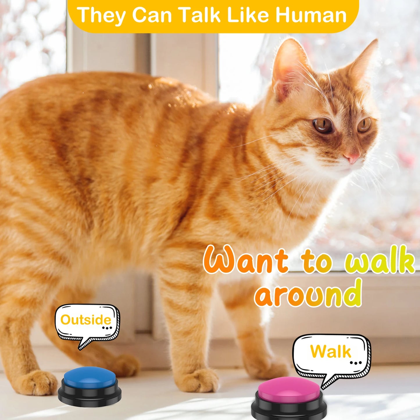Recordable PET Training Buttons