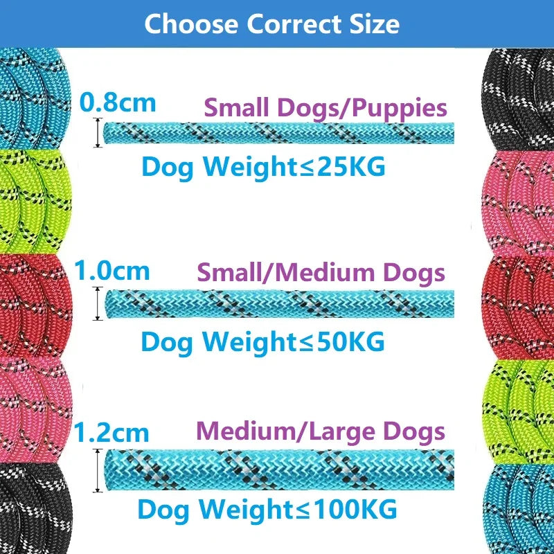 Strong Leashes for Dogs