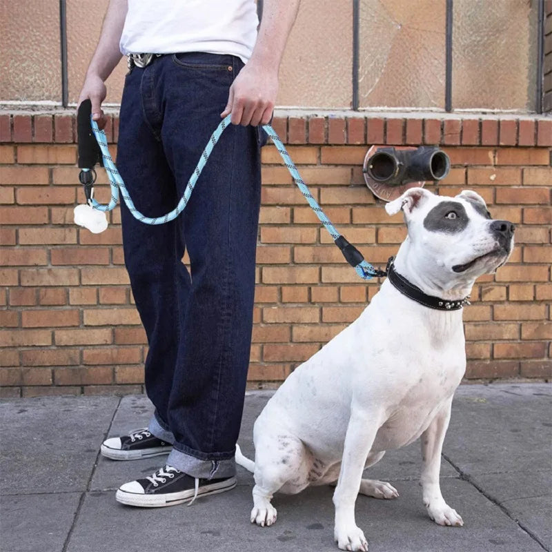 Strong Leashes for Dogs