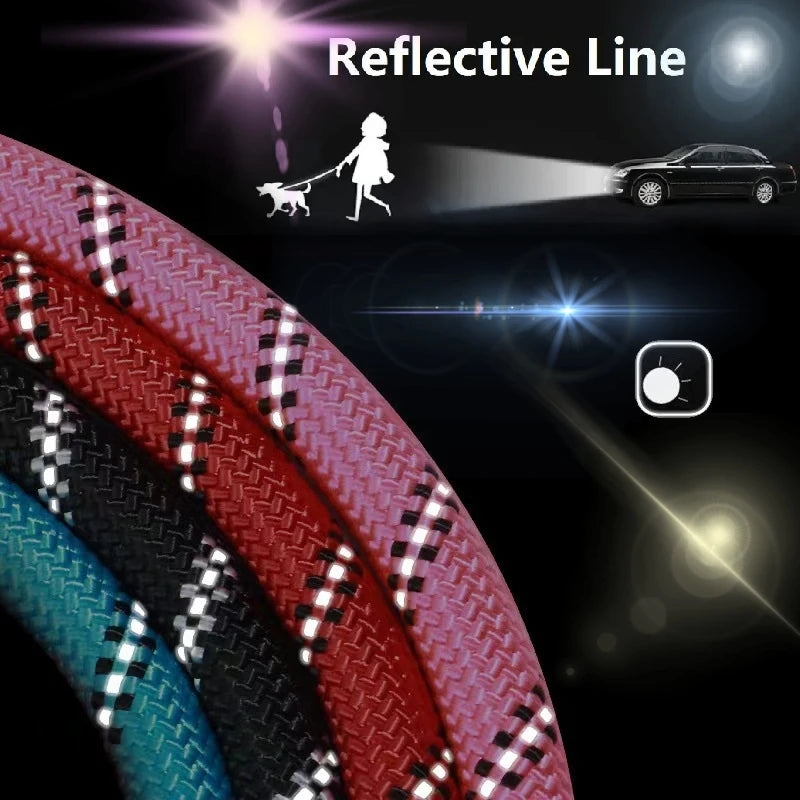 Strong Leashes for Dogs