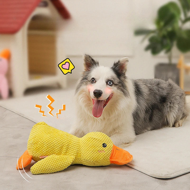 Calming Duck toy for Dogs