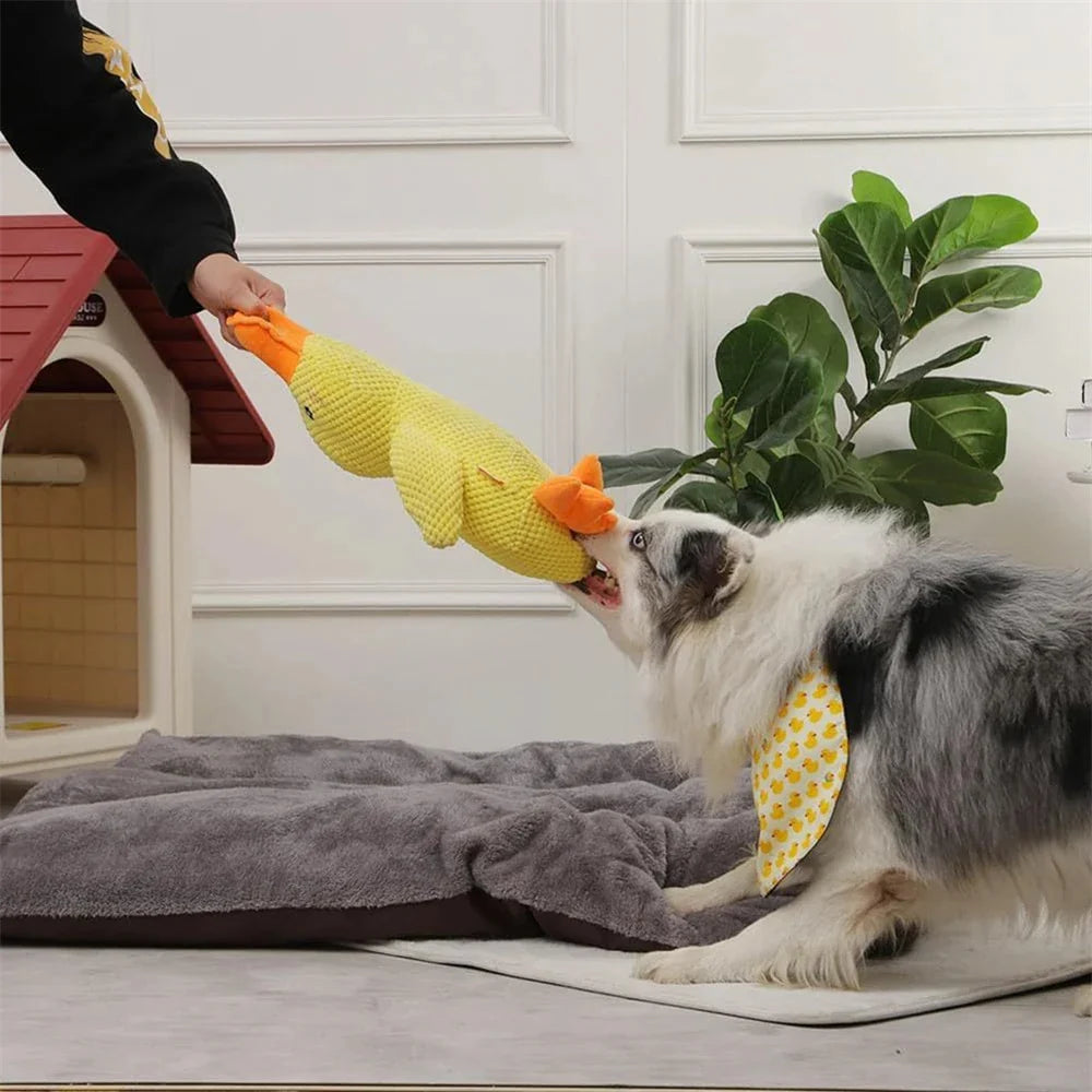 Calming Duck toy for Dogs
