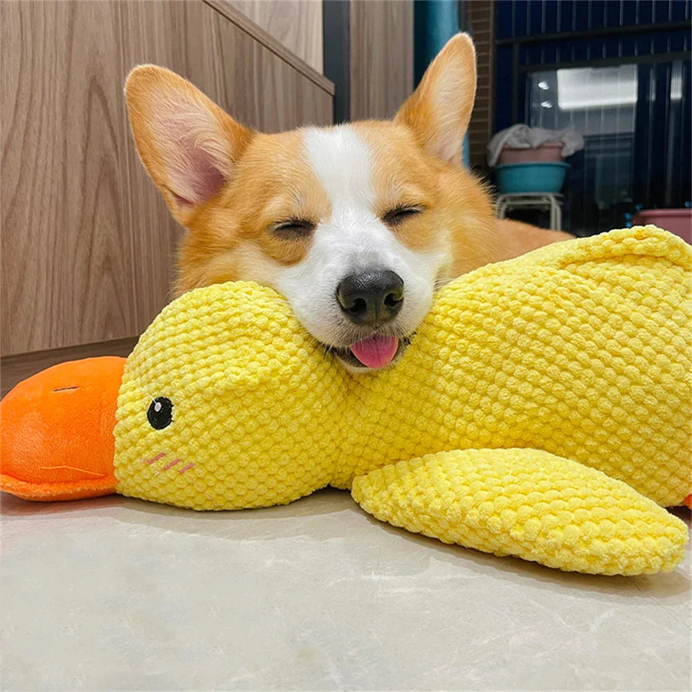 Calming Duck toy for Dogs