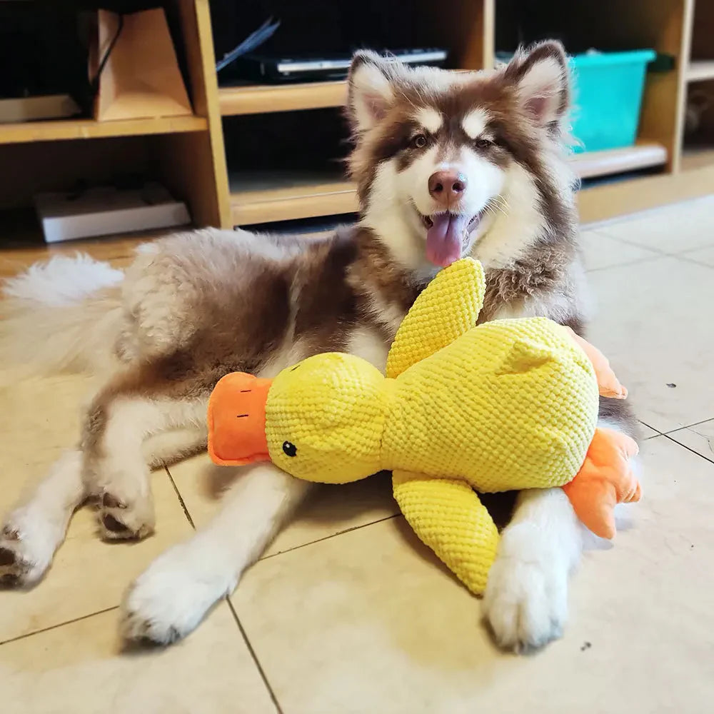 Calming Duck toy for Dogs