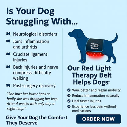 Red Light Therapy Belt