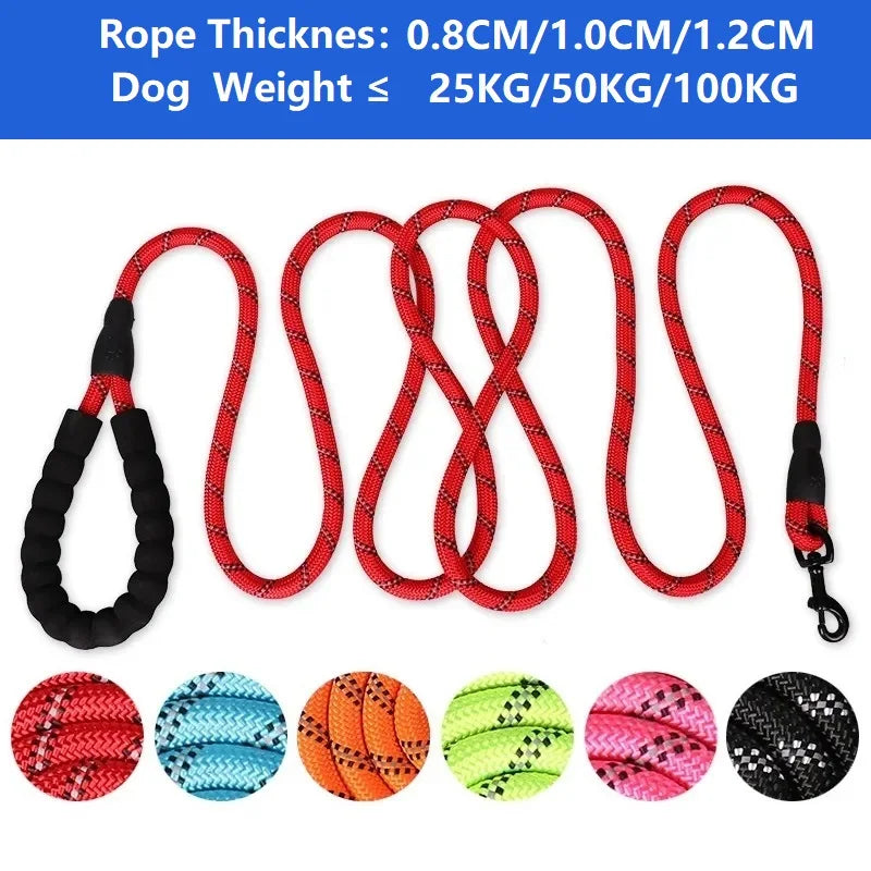 Strong Leashes for Dogs