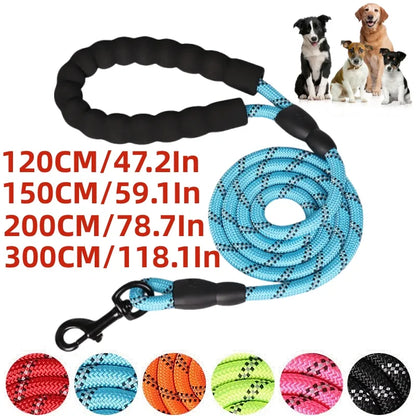 Strong Leashes for Dogs